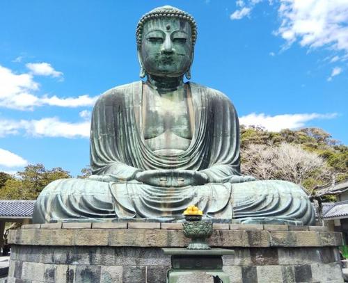 写真:往復こまだ普通車指定席で行く鎌倉スペシャル