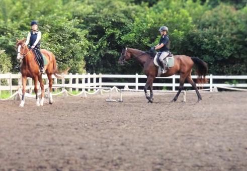 写真:HAS乗馬クラブ